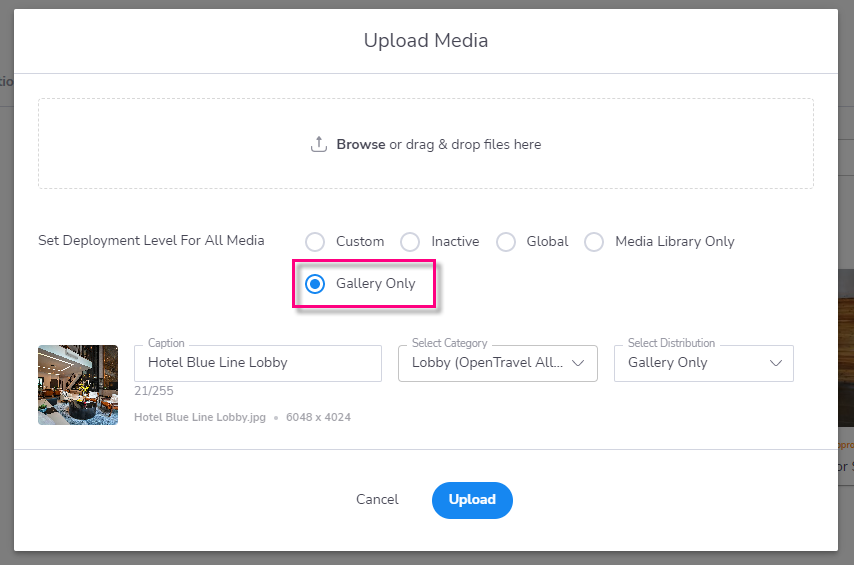 Gallery_Only_Distribution.png
